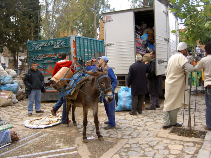 A donkey being loaded up