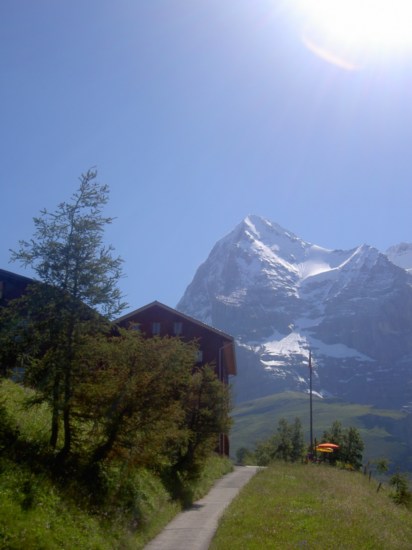 Untitled image