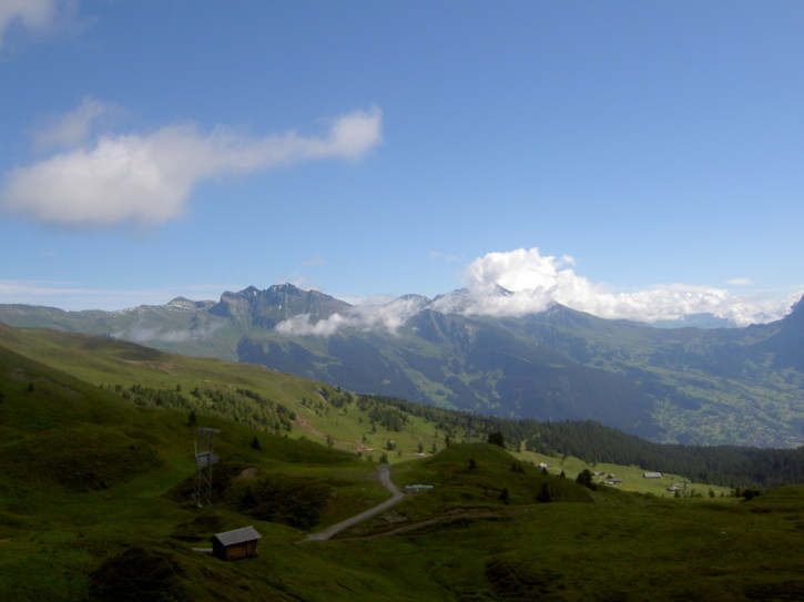 Untitled image
