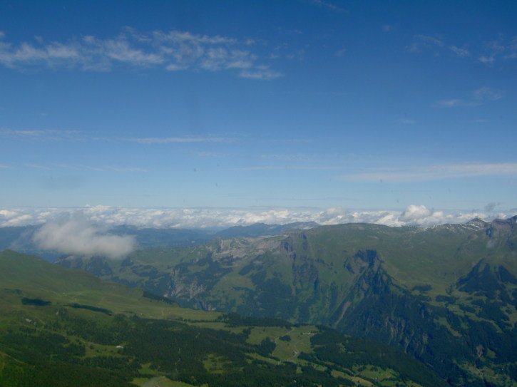 Untitled image
