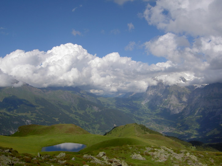 Untitled image