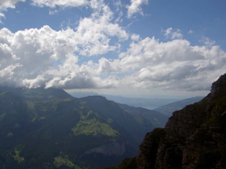 Untitled image