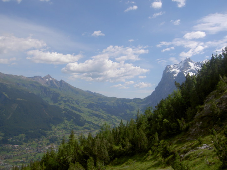 Untitled image