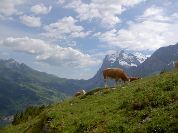 Untitled image