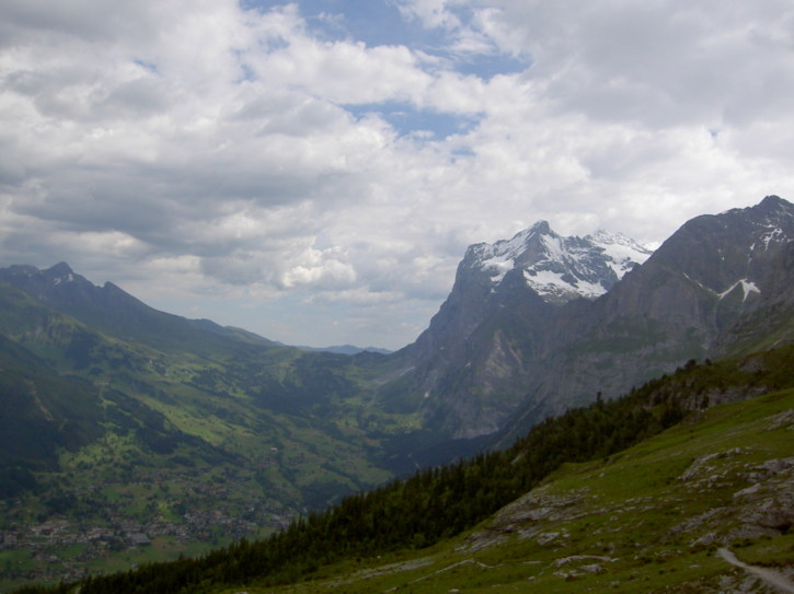 Untitled image