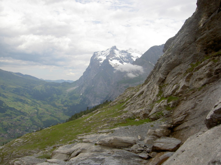 Untitled image