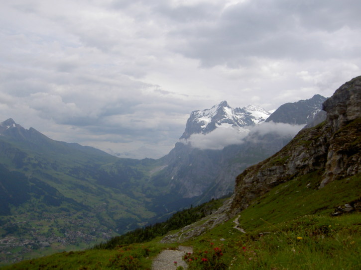 Untitled image