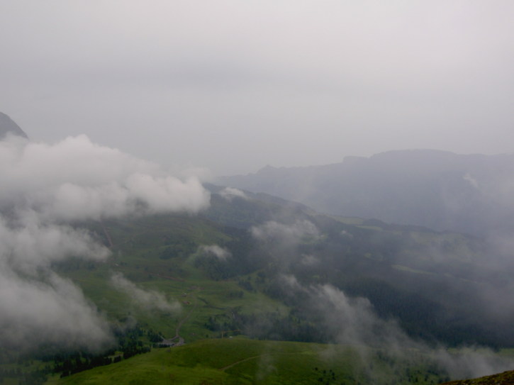 Untitled image