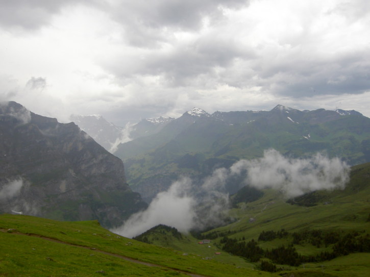 Untitled image