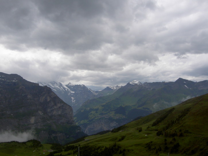 Untitled image