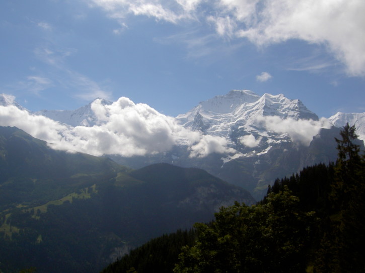 Untitled image