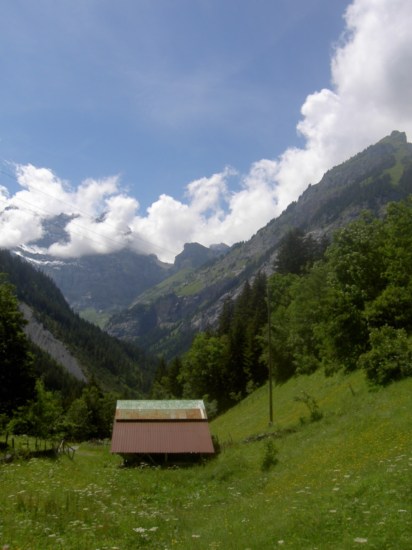 Untitled image