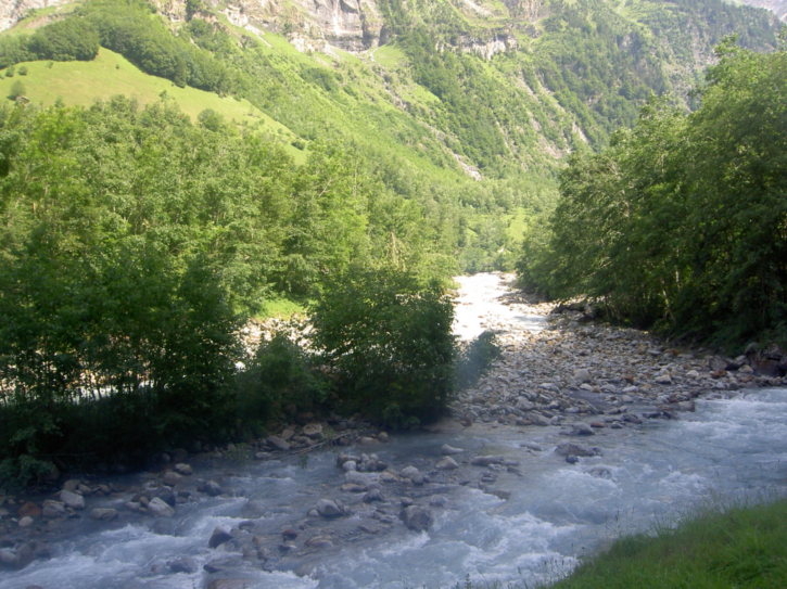 Untitled image