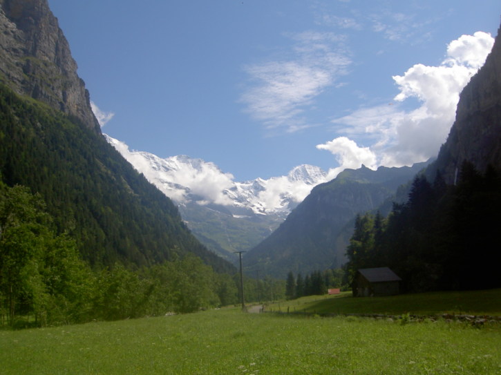 Untitled image