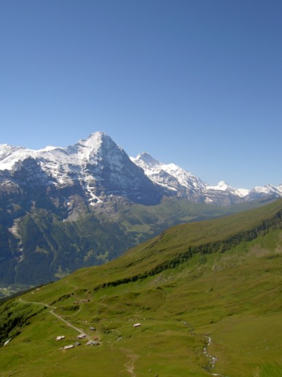 Untitled image