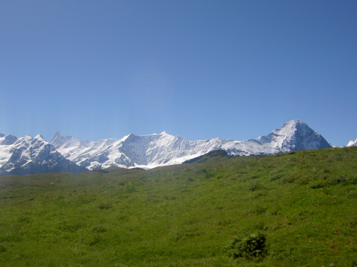 Untitled image