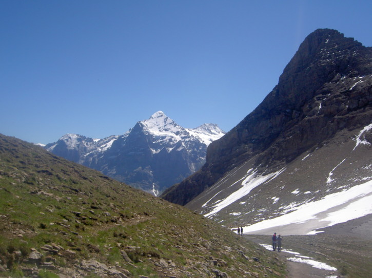 Untitled image
