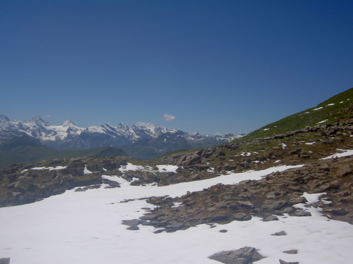 Untitled image