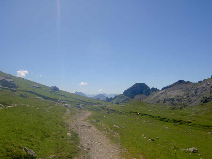 Untitled image