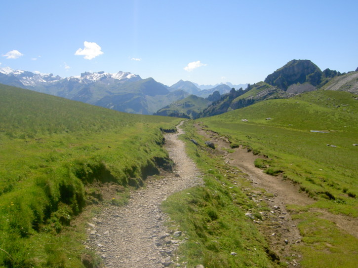 Untitled image