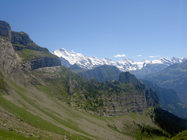 Untitled image