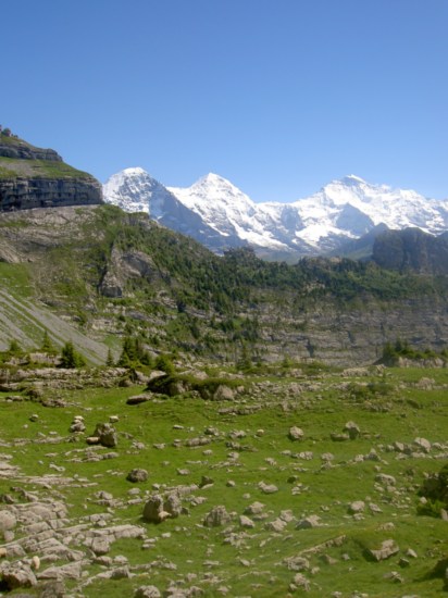 Untitled image