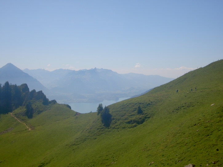 Untitled image