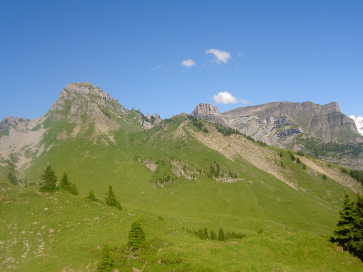 Untitled image