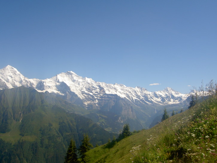 Untitled image