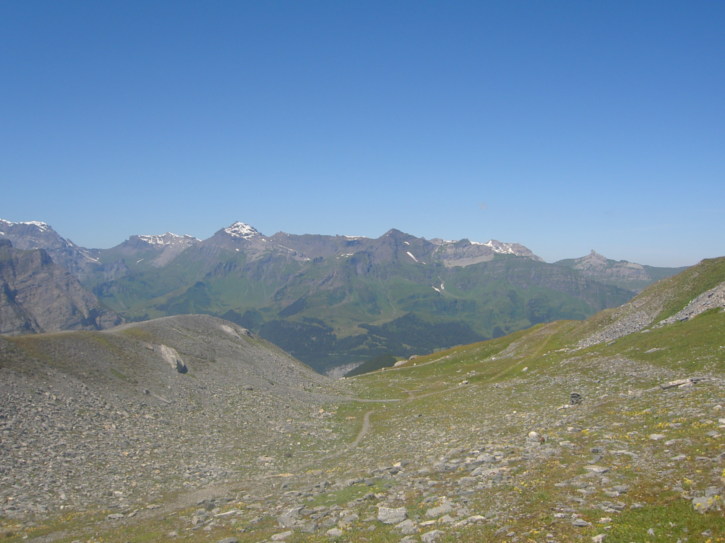 Untitled image