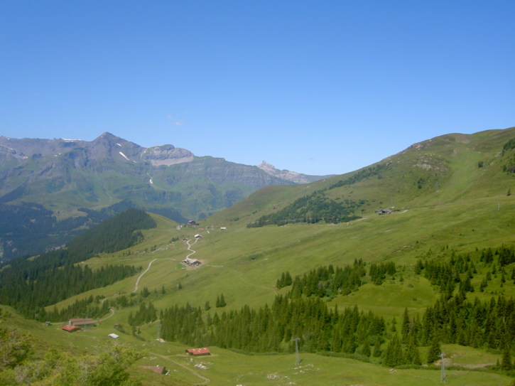 Untitled image