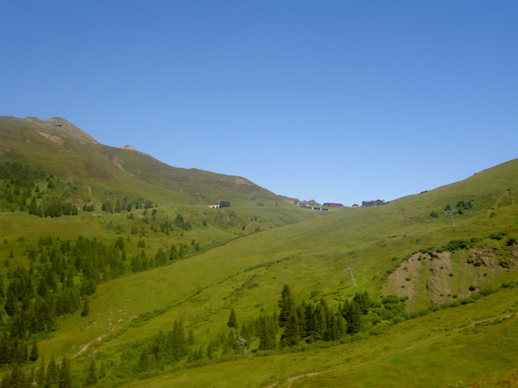 Untitled image