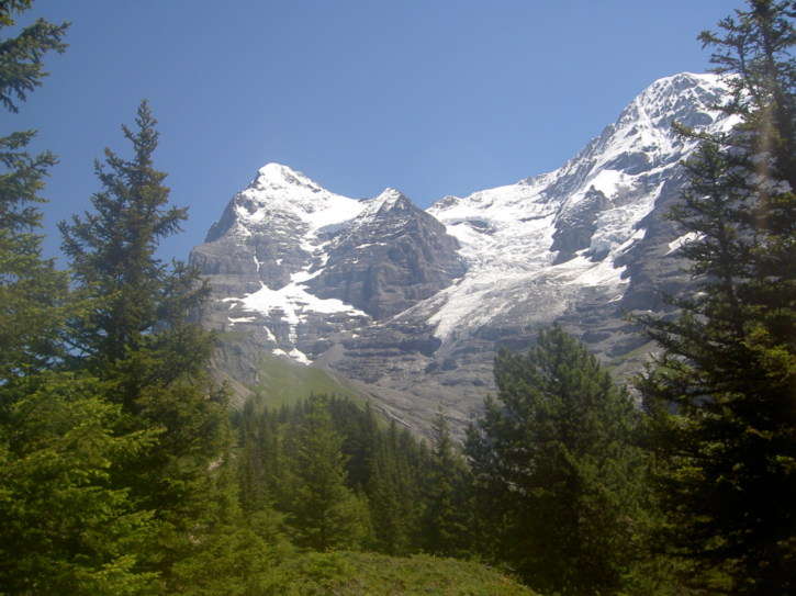 Untitled image