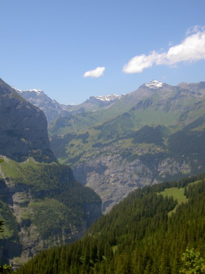 Untitled image