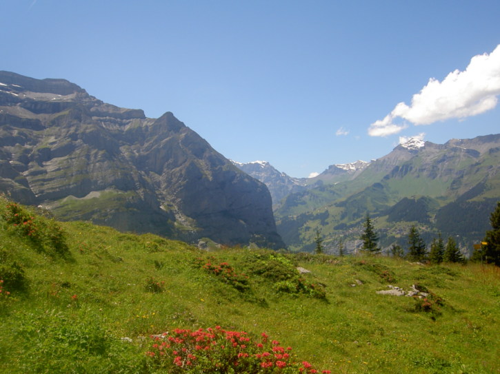 Untitled image