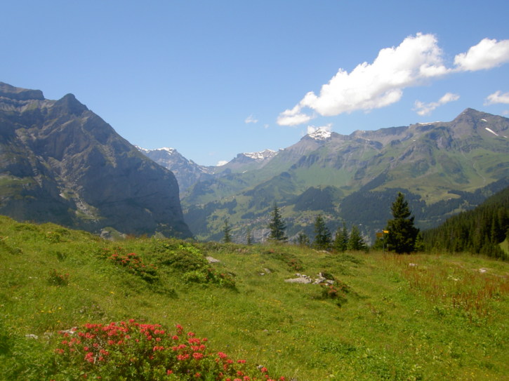 Untitled image