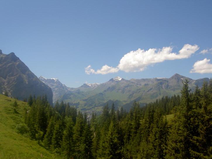 Untitled image