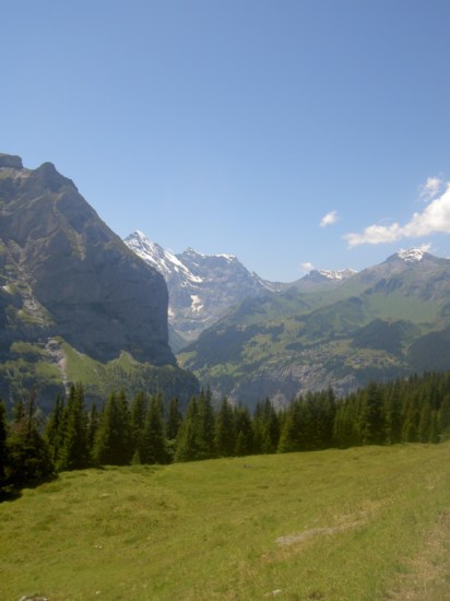 Untitled image