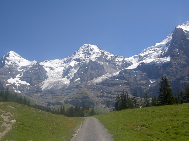 Untitled image