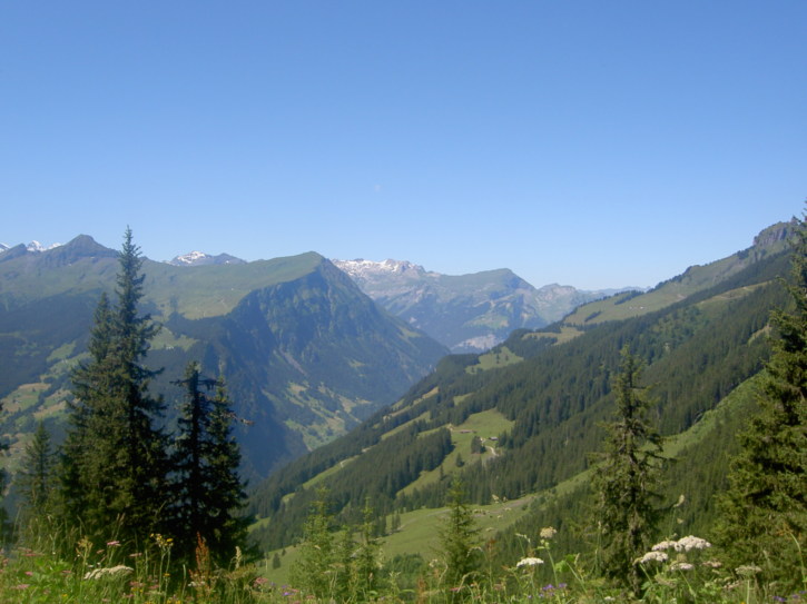 Untitled image