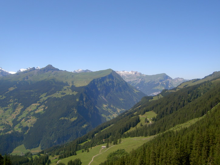 Untitled image