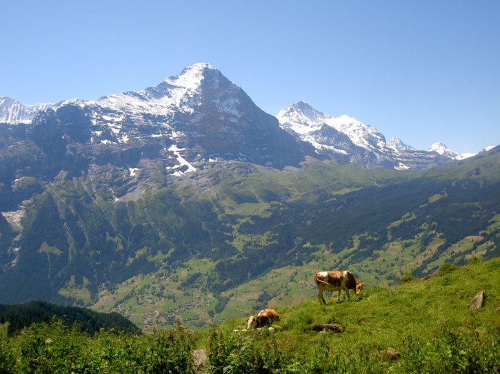 Untitled image