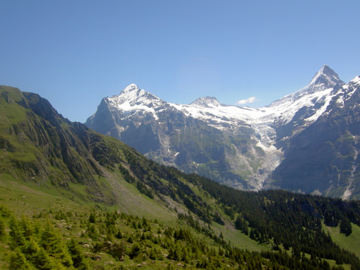 Untitled image