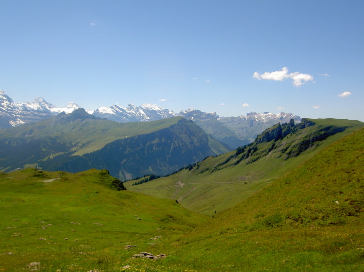 Untitled image