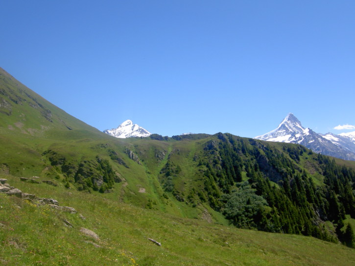 Untitled image