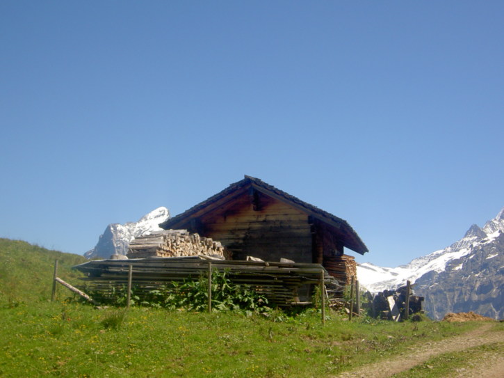 Untitled image