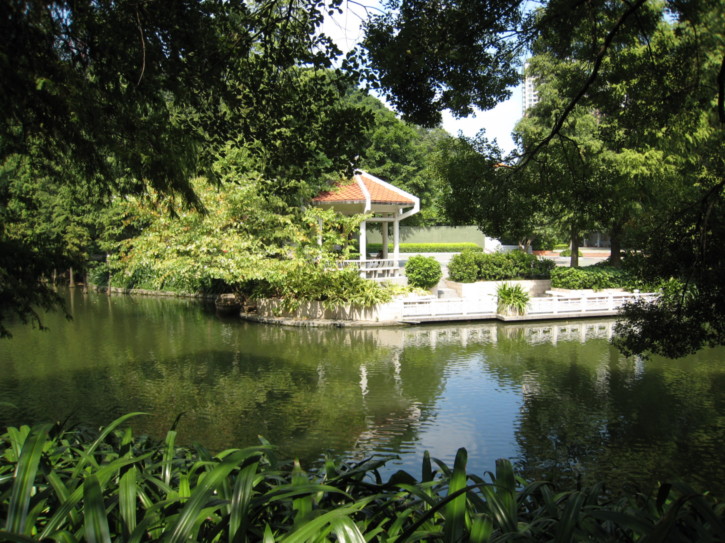 At a park in the center