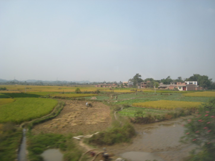View from the train window
