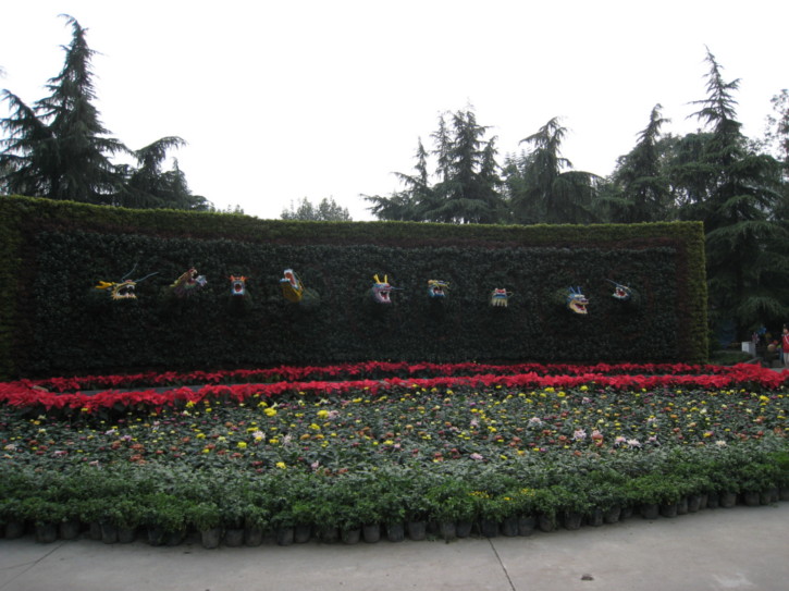 In the people's park