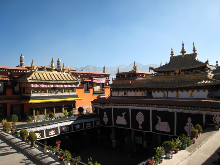 View from the roof